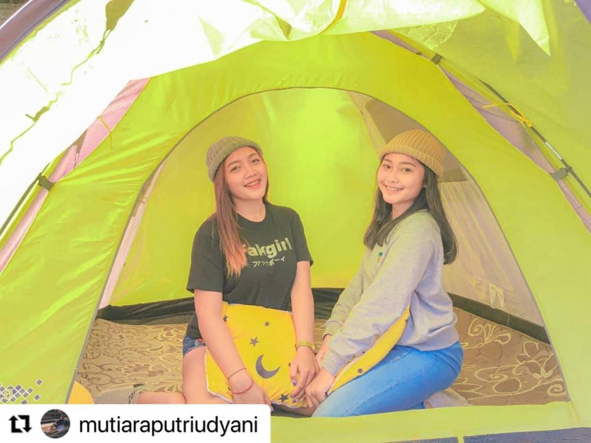 Tukadsari Camping Kintamani  Luaran gambar