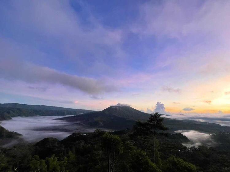 Tukadsari Camping Kintamani  Luaran gambar
