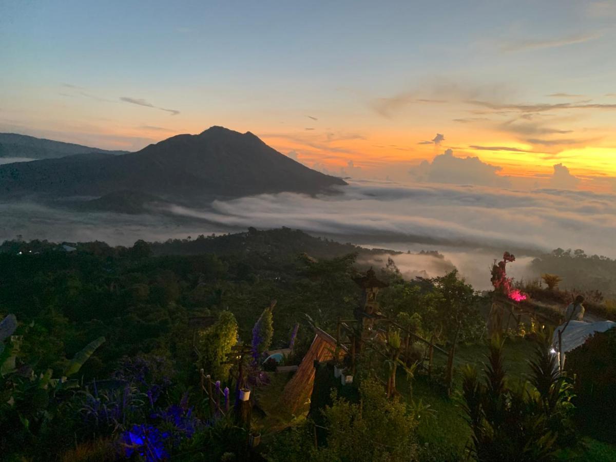 Tukadsari Camping Kintamani  Luaran gambar