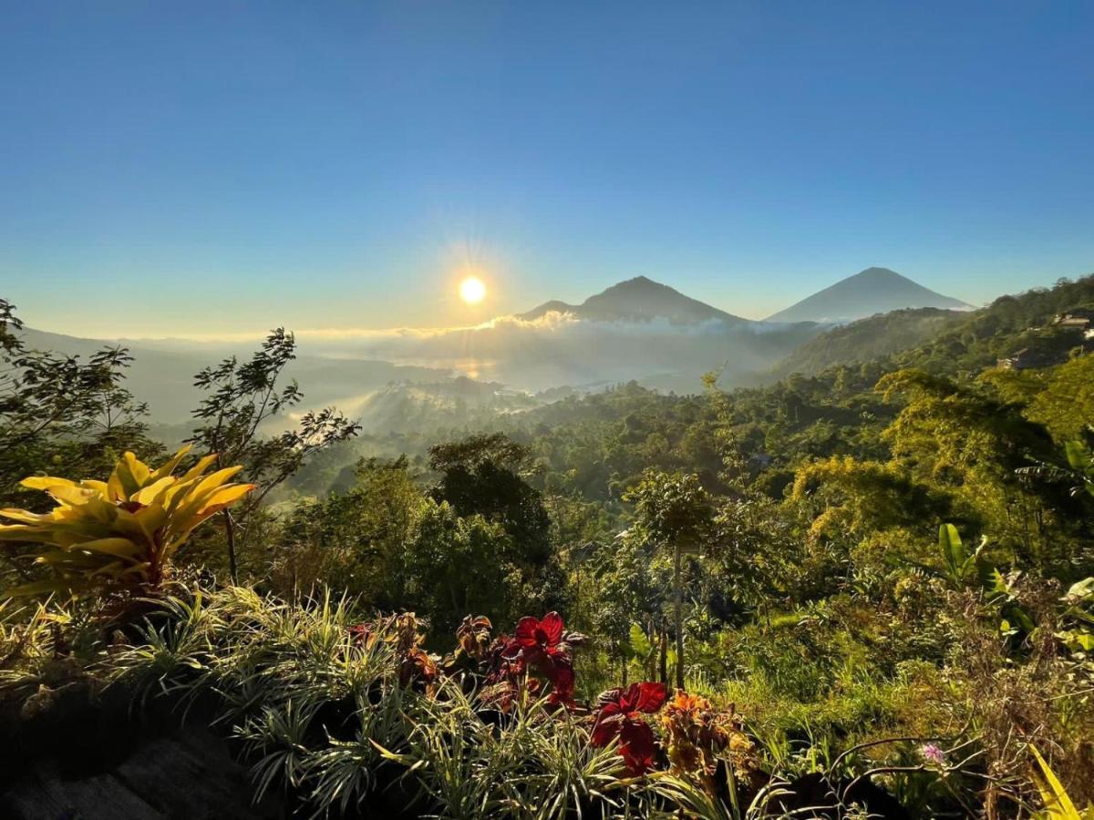 Tukadsari Camping Kintamani  Luaran gambar