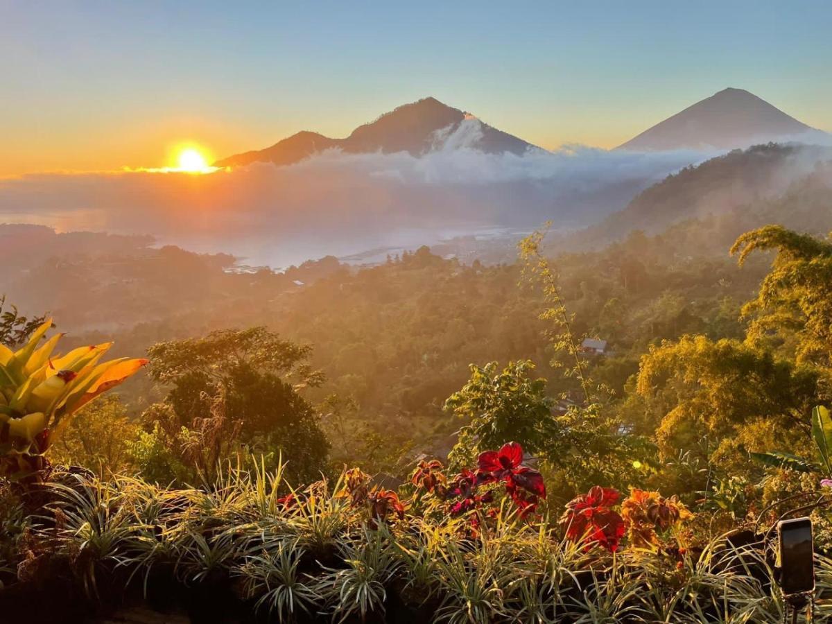 Tukadsari Camping Kintamani  Luaran gambar